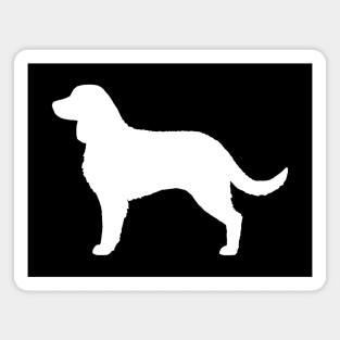 American Water Spaniel Silhouette Magnet